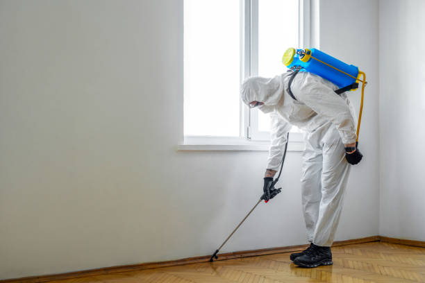 Best Wasp Removal Services  in Gordonsville, VA